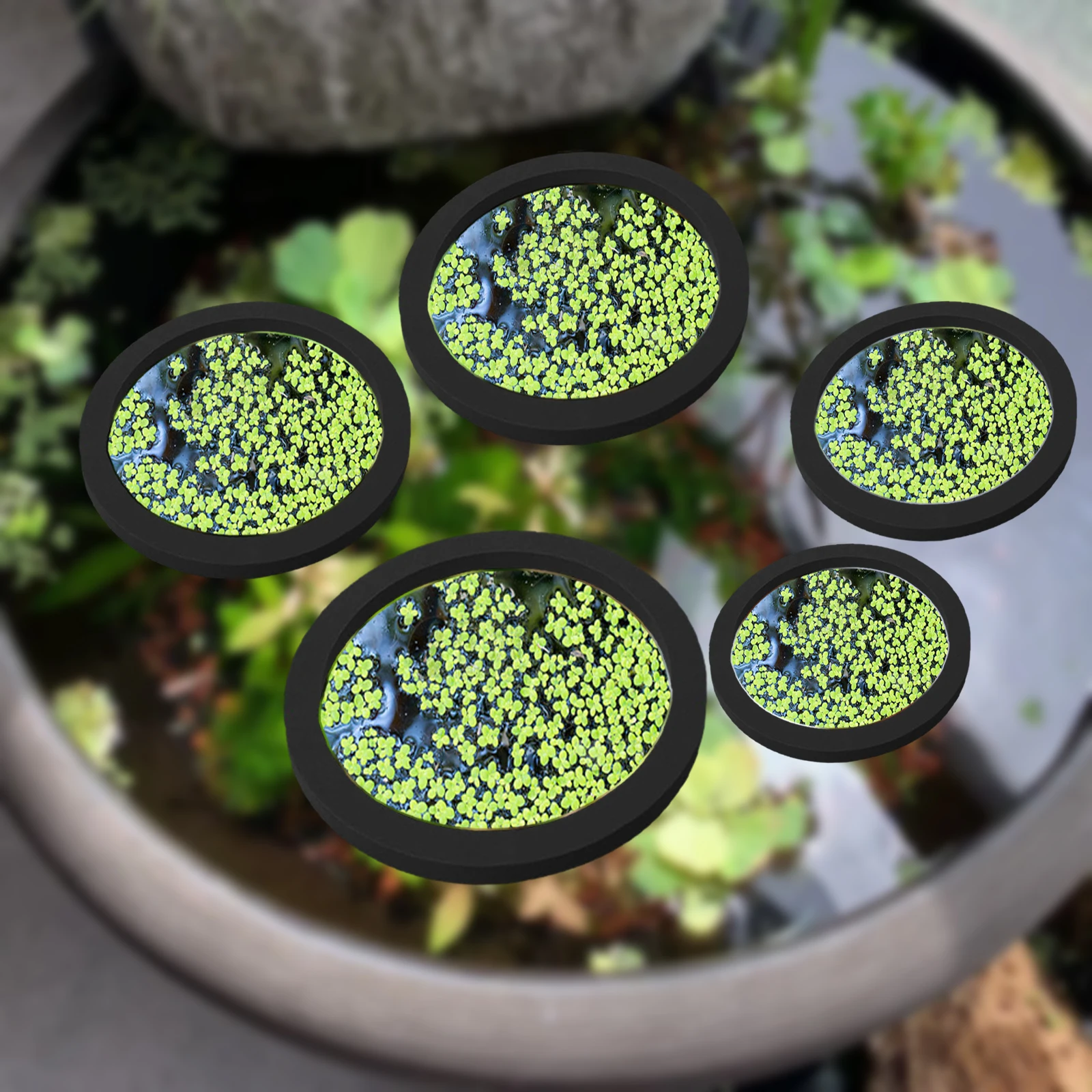 Aquarium Fish Accessories - 5 個 EVA 魚給餌リング水族館浮遊植物囲い水槽フロート植物バリア水族館の池 Accessorie 植物リング