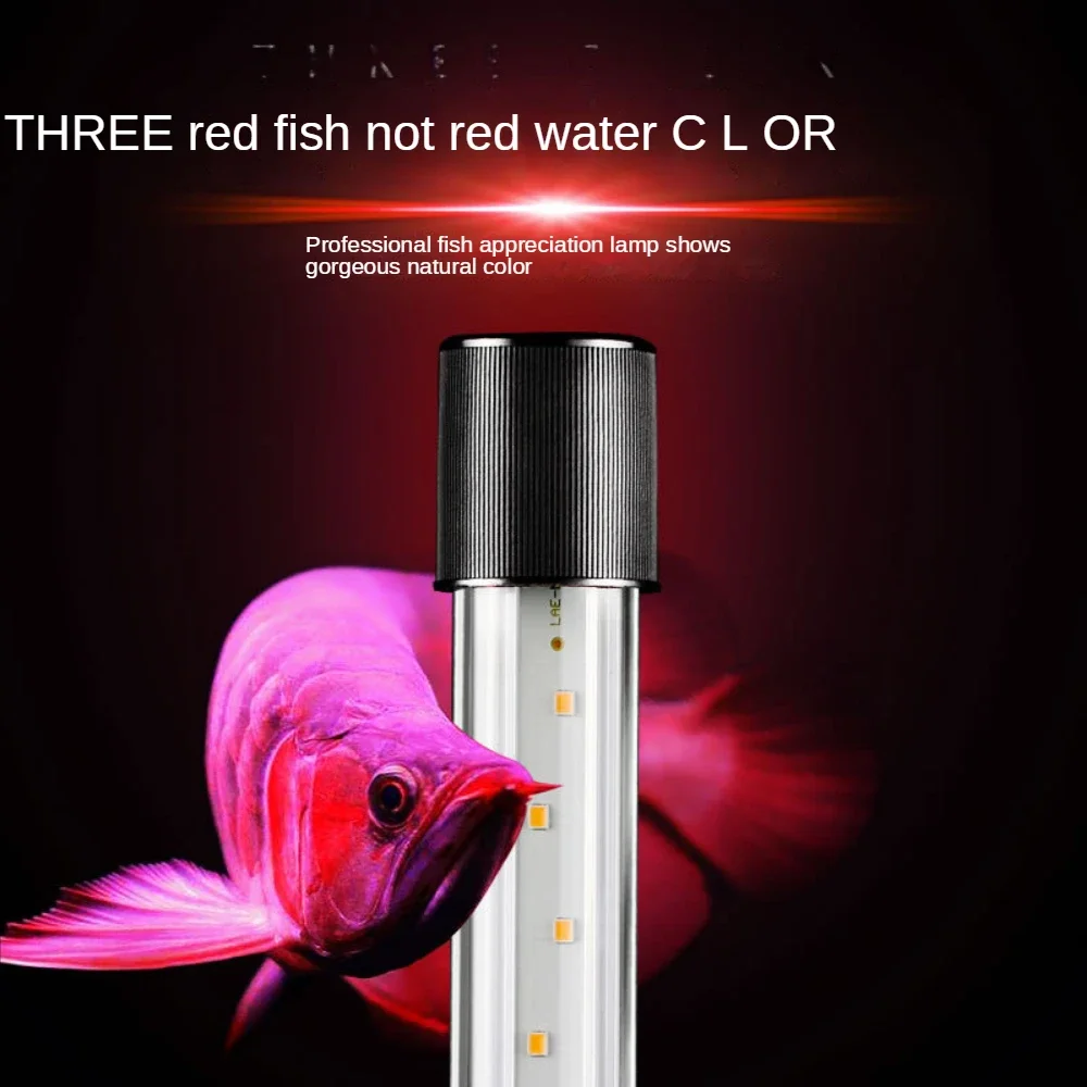 LED水槽景観ランプ、アロワナランプ、オウム魚、熱帯魚、サン - Aquarium Fishland のレビューと価格