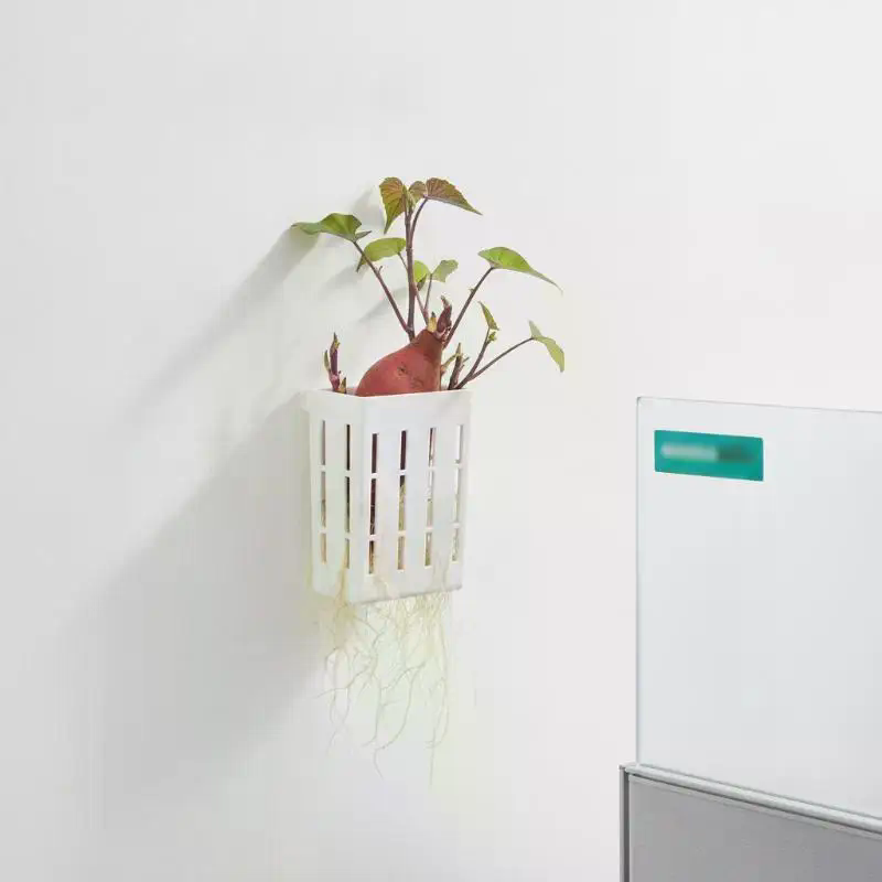 水耕栽培用サポートバスケット1個、水槽用植栽カップ、水草水生 - Aquarium Fish Accessories のレビューと価格