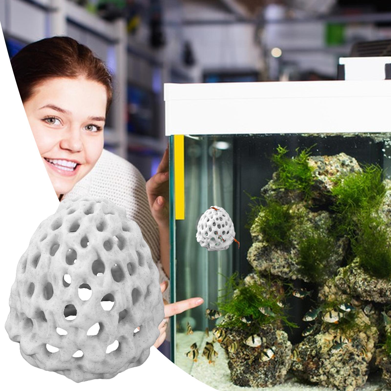 小型水槽用エビハウス　洞窟型ミニ多孔質ベタハウス　魚の隠れ家 - Aquarium Fish Hiding Spot のレビューと価格