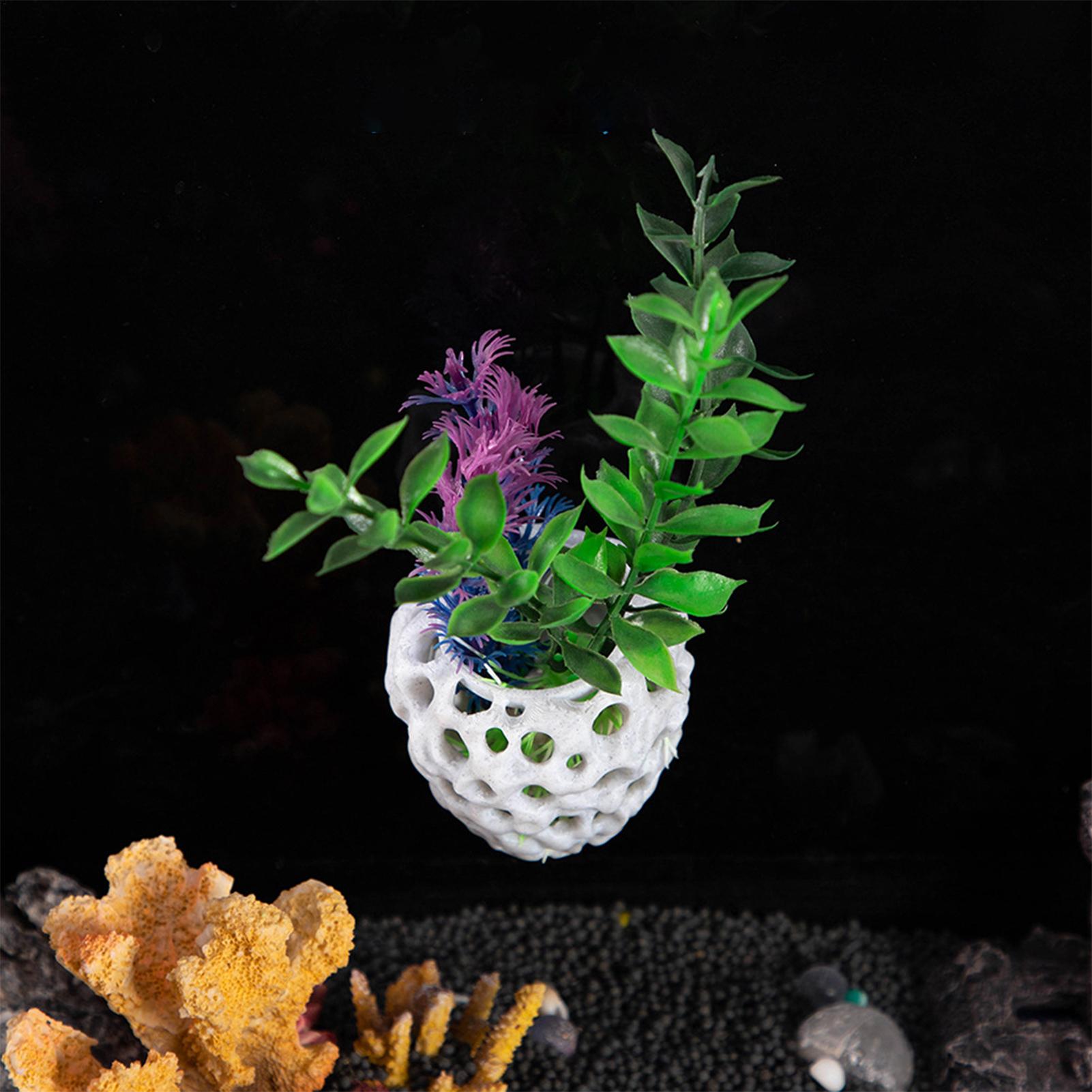 小型水槽用エビハウス　洞窟型ミニ多孔質ベタハウス　魚の隠れ家 - Aquarium Fish Hiding Spot のレビューと価格