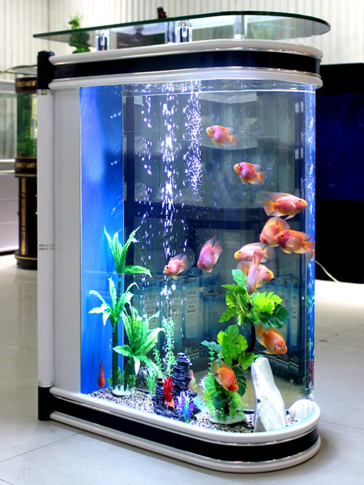 生態系水槽 アクアリウム ガラス製 中型 大型 無換水 水槽 - Aquarium Fishland のレビューと価格