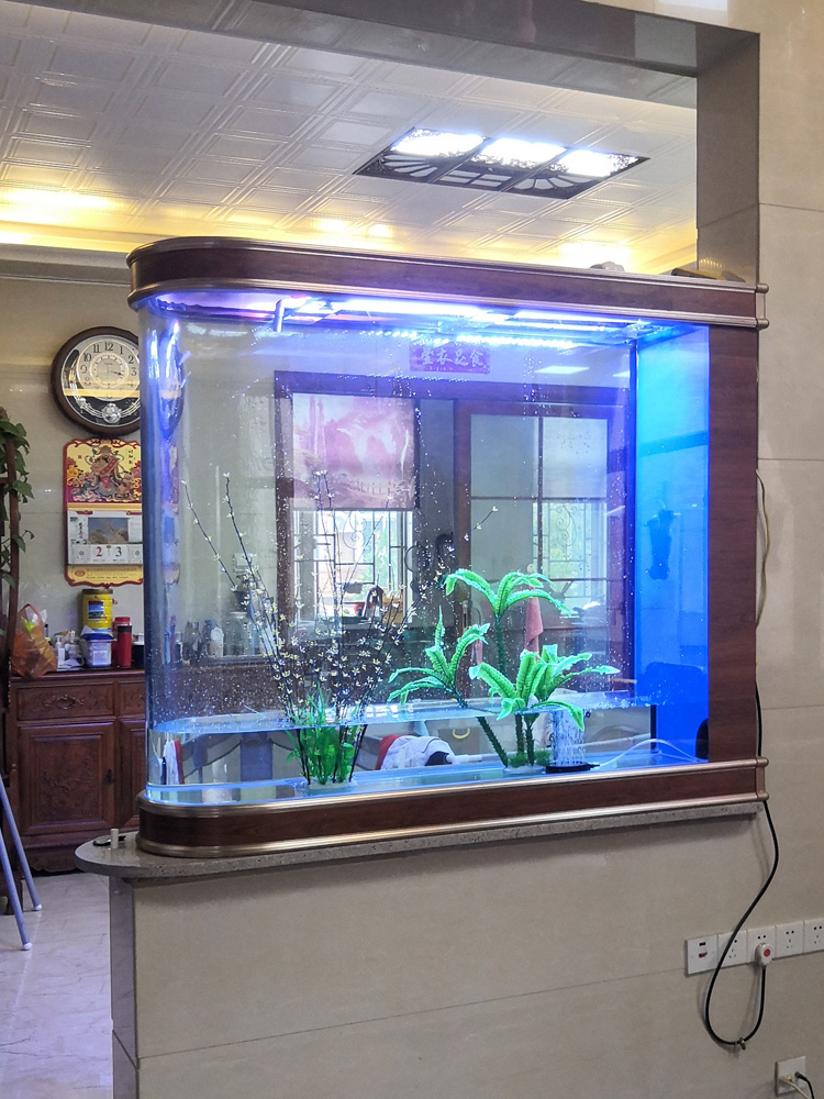 生態系水槽 アクアリウム ガラス製 中型 大型 無換水 水槽 - Aquarium Fishland のレビューと価格