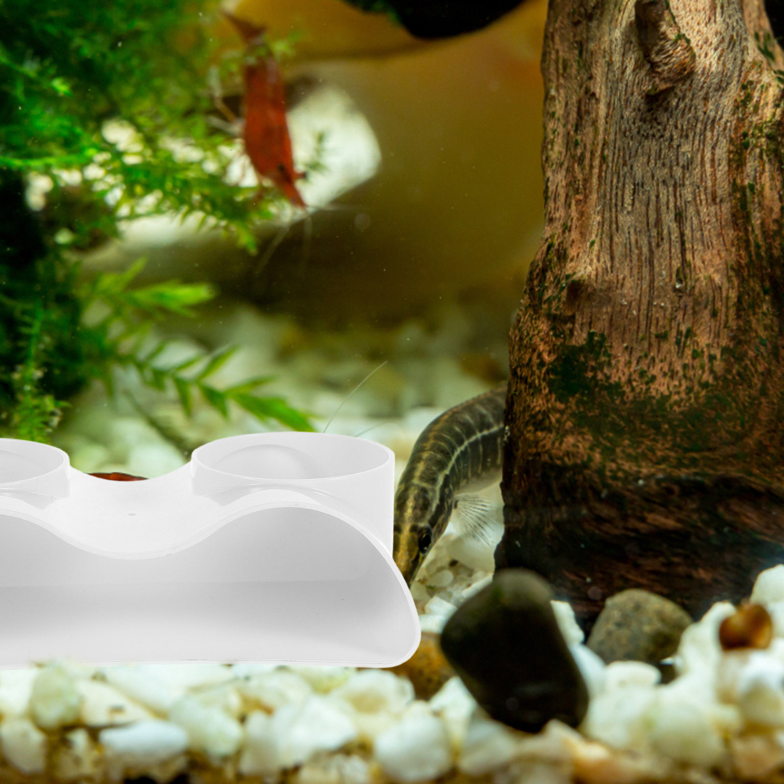 水槽用トンネル型洞窟飾り、魚やエビの隠れ家、二重穴デザイン、 - Aquarium Fish Hiding Spot のレビューと価格