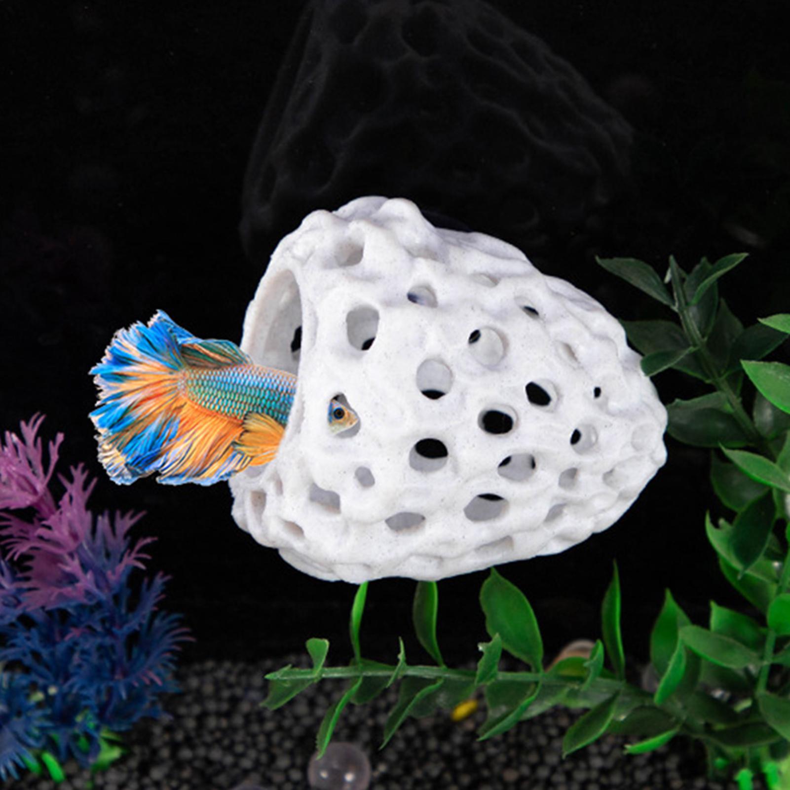 水槽用エビハウス 洞窟型 ミニ多孔質ベタハウス 魚の隠れ家  - Aquarium Fish Hiding Spot のレビューと価格