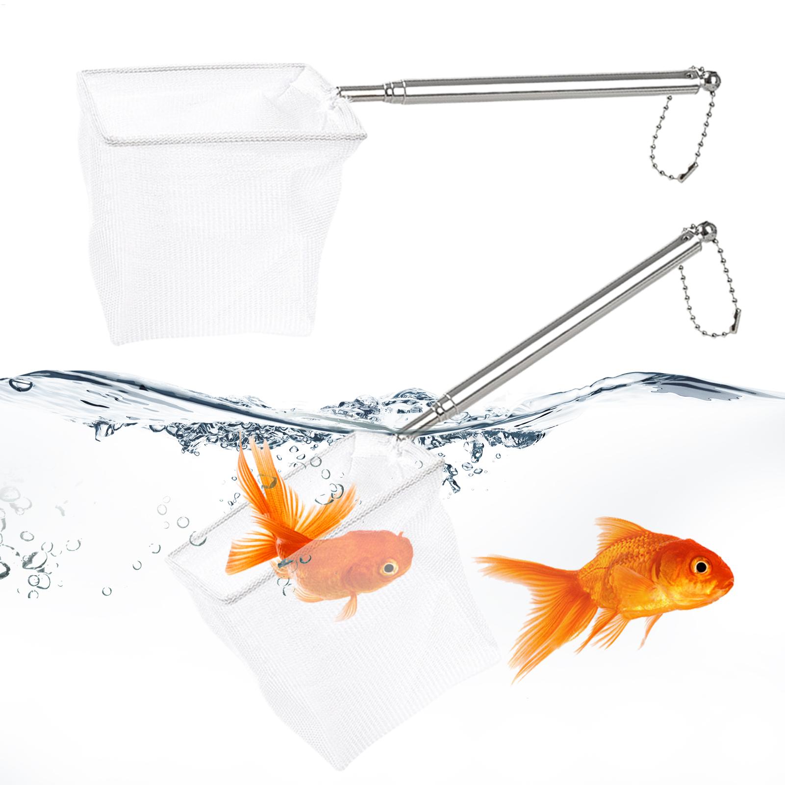2 個の小さな魚網伸縮ハンドルステンレス鋼ランディングディッ - Aquarium Fishland のレビューと価格